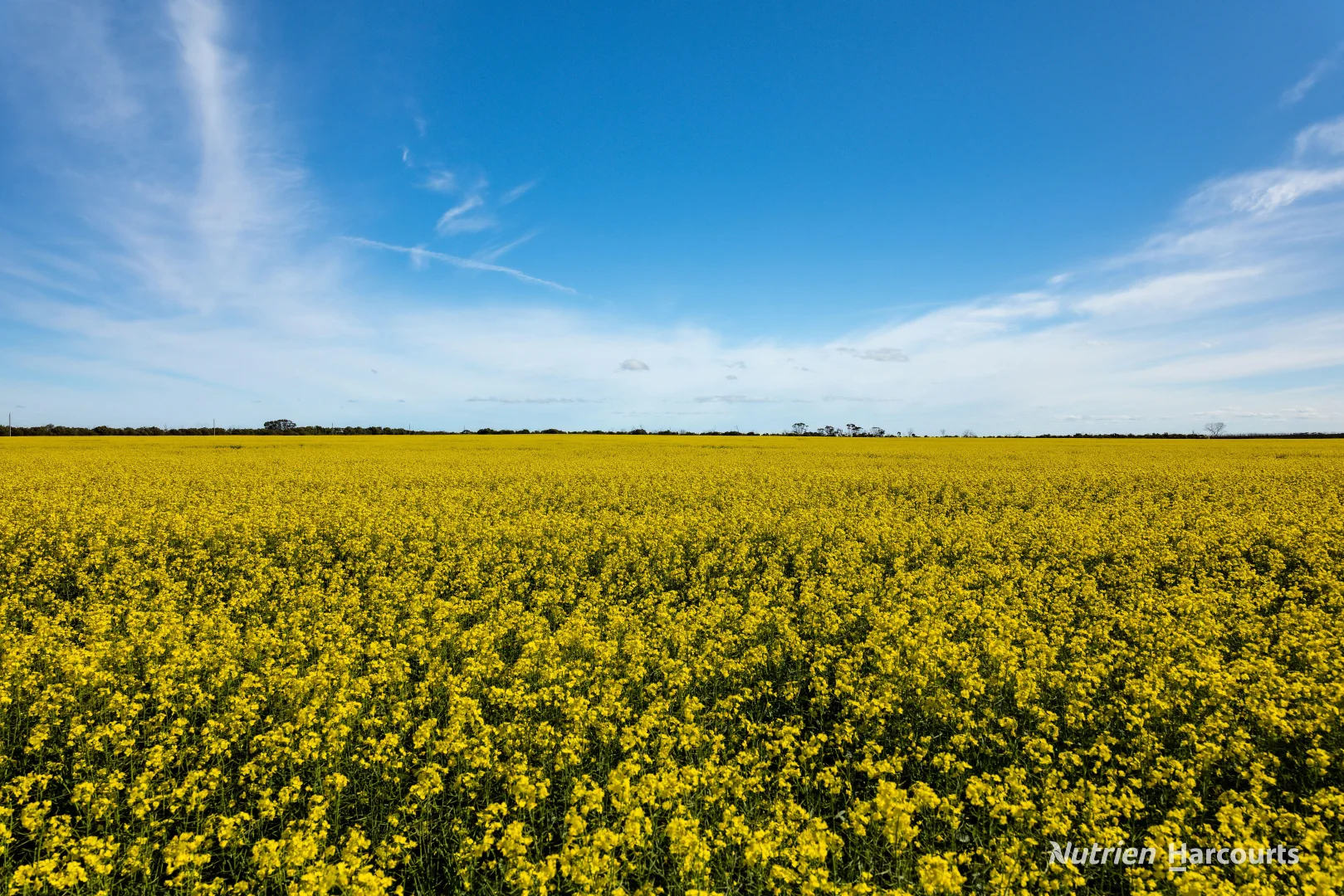 Additional image 6 of . Kendall Road, Scaddan WA 6447