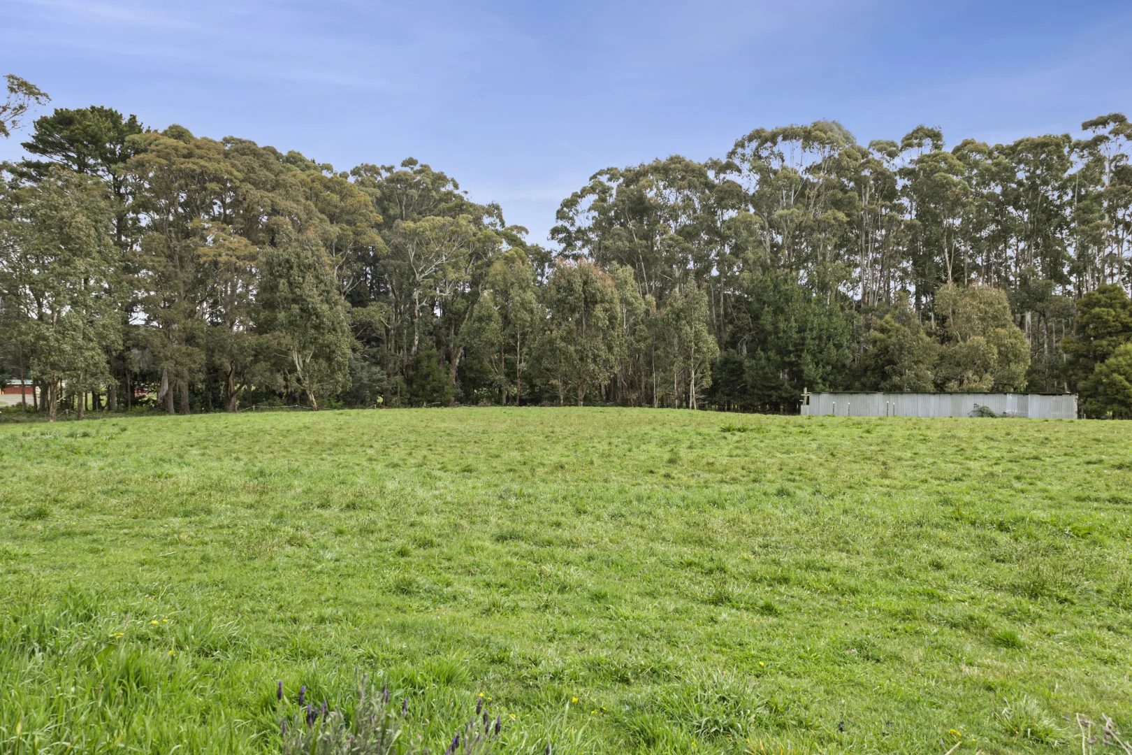 Additional image 10 of 20 Horvaths Road, Trentham VIC 3458
