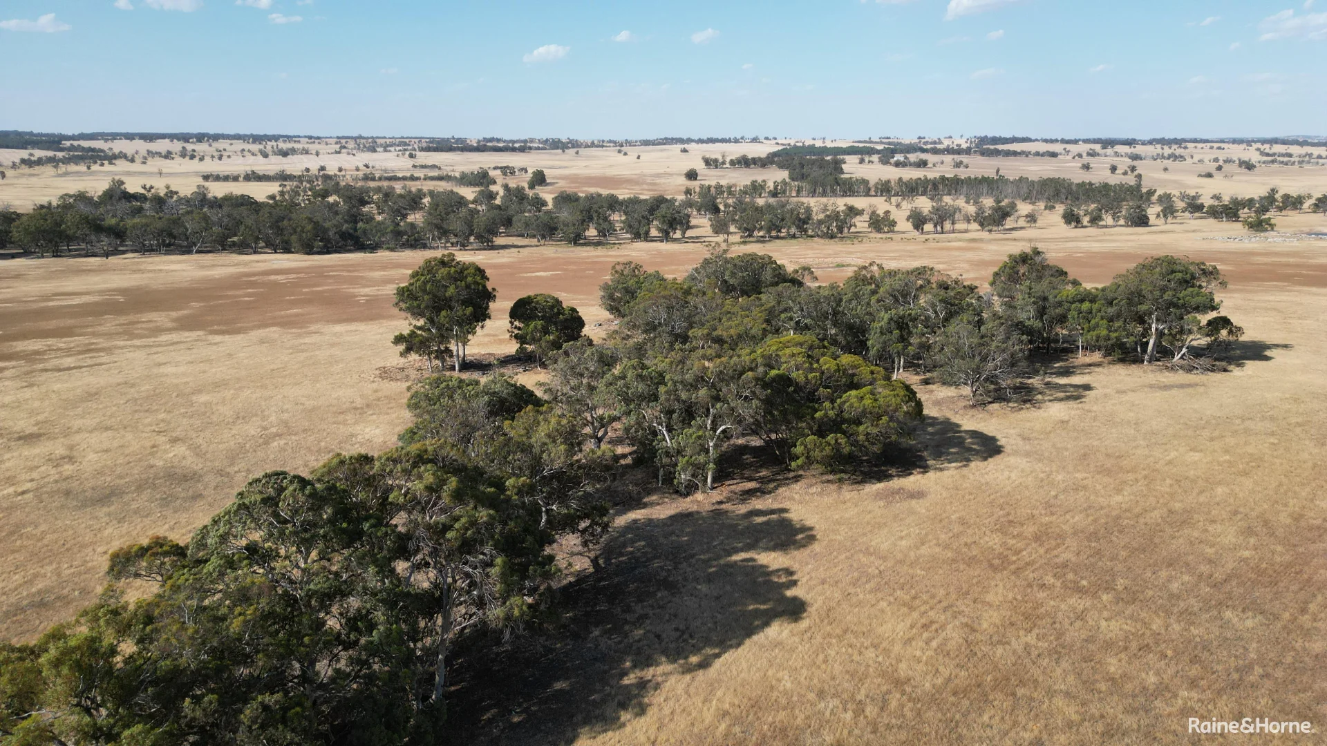 Additional image 6 of 1128 Bokal Road South, Mokup WA 6394