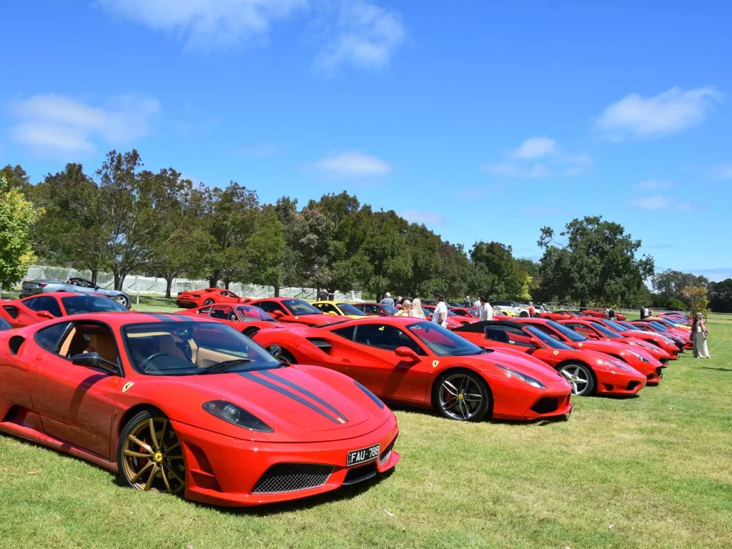 Additional image 34 of Harrisons Road, Dromana VIC 3936