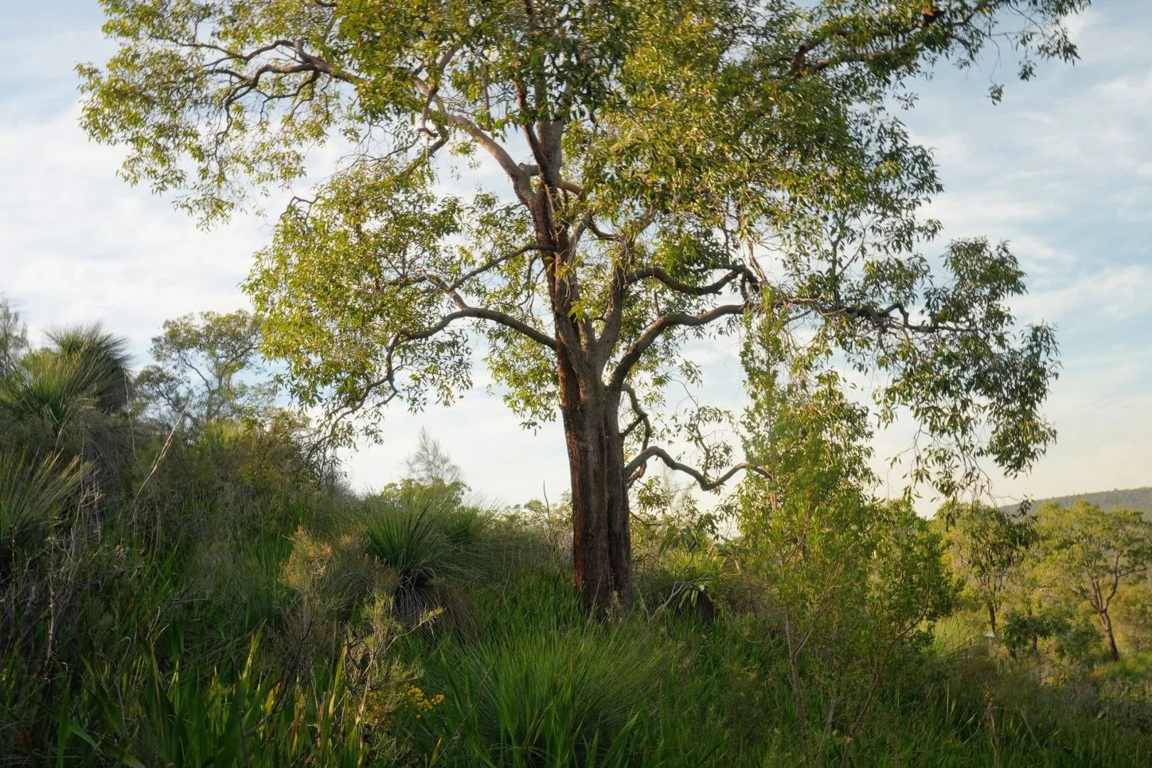 Additional image 13 of 245 Pechey Road, Swan View WA 6056