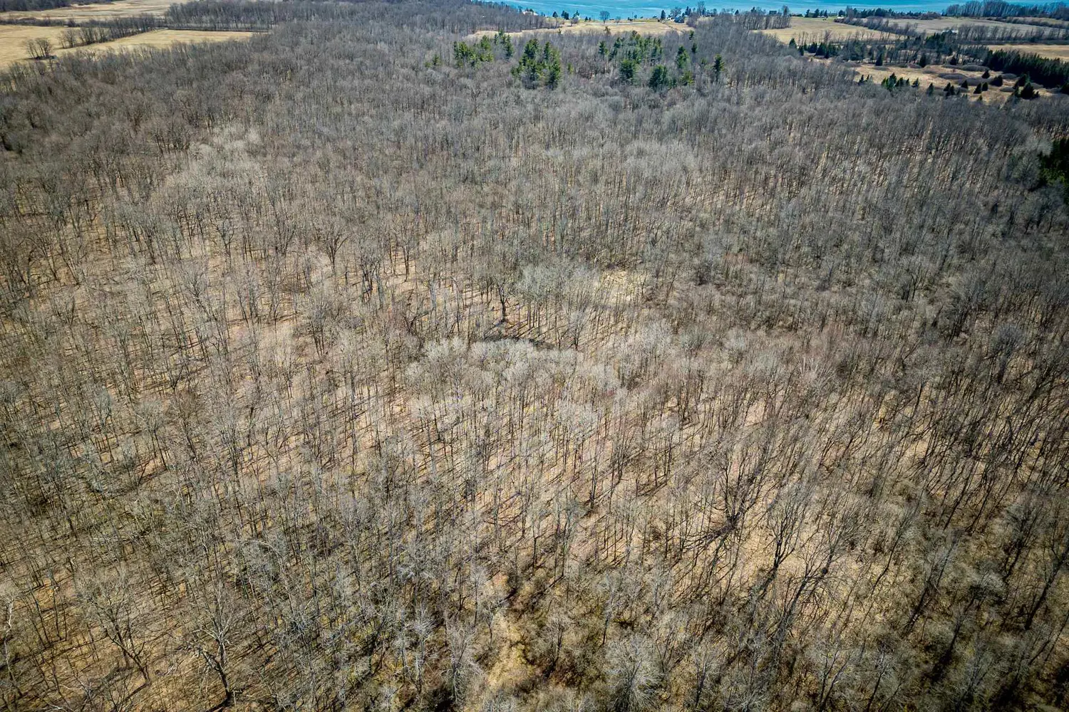 Additional image 6 of Lot 3 Baseline Road