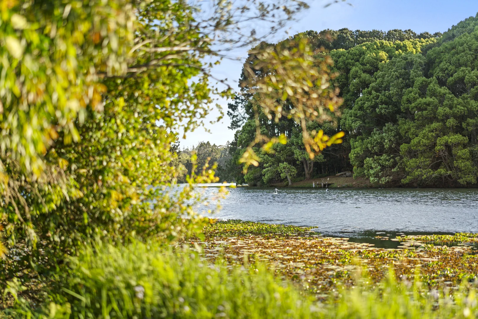 Additional image 30 of 241 Alcorn Road, Knockrow NSW 2479