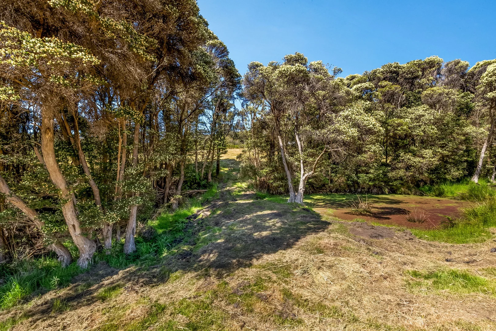 Additional image 9 of 26 Alfred Street, Nubeena TAS 7184