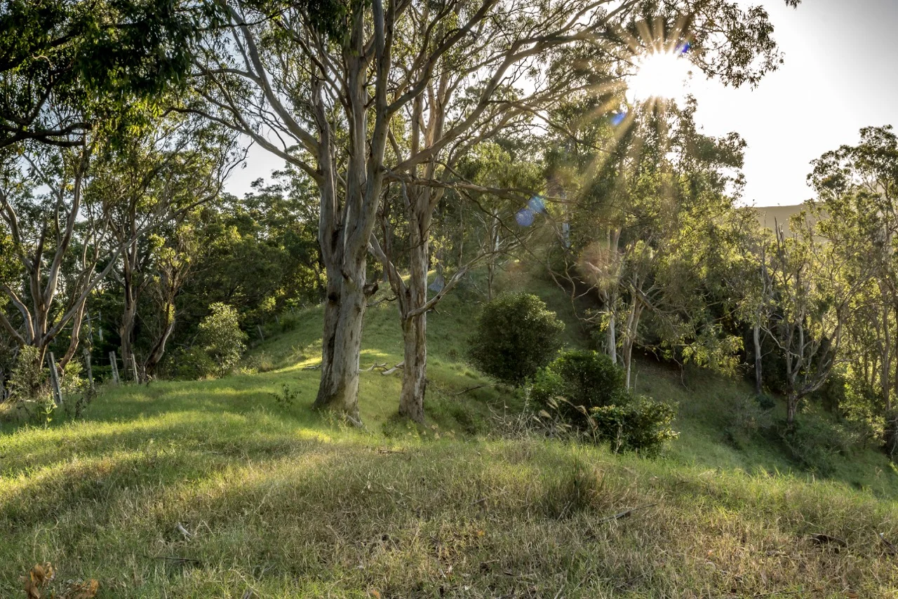 Additional image 17 of 2 Mount Gipps, Mount Gipps QLD 4285