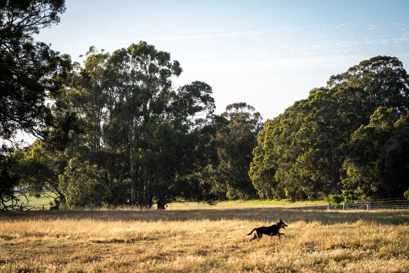 Additional image 3 of 89 Worgan Road, Metricup WA 6280