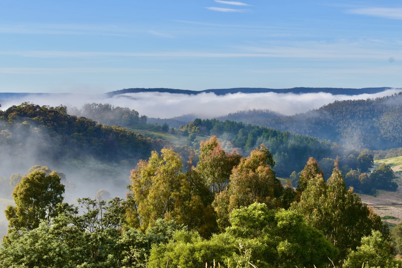 Additional image 20 of 363 Sheepstation Forest Road, Gingkin NSW 2787