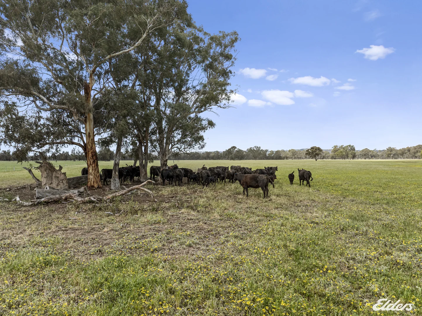 Additional image 32 of 197 Ryans Lane, Locksley VIC 3665