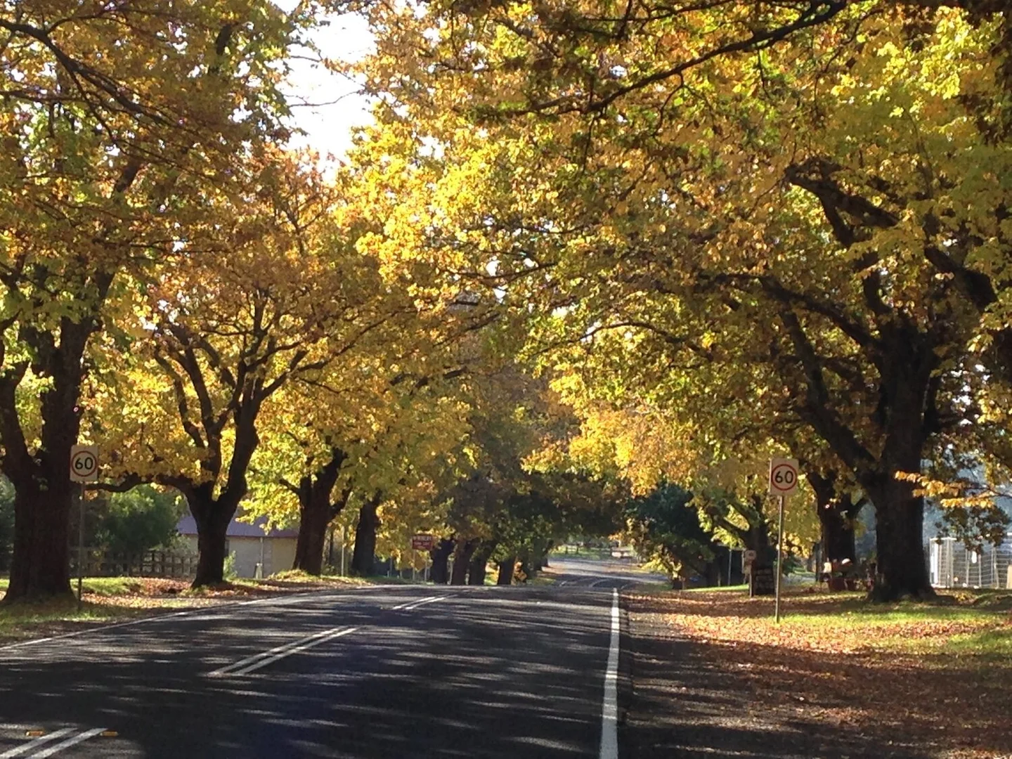 Additional image 6 of 27 Eldon Street, Glenlyon VIC 3461