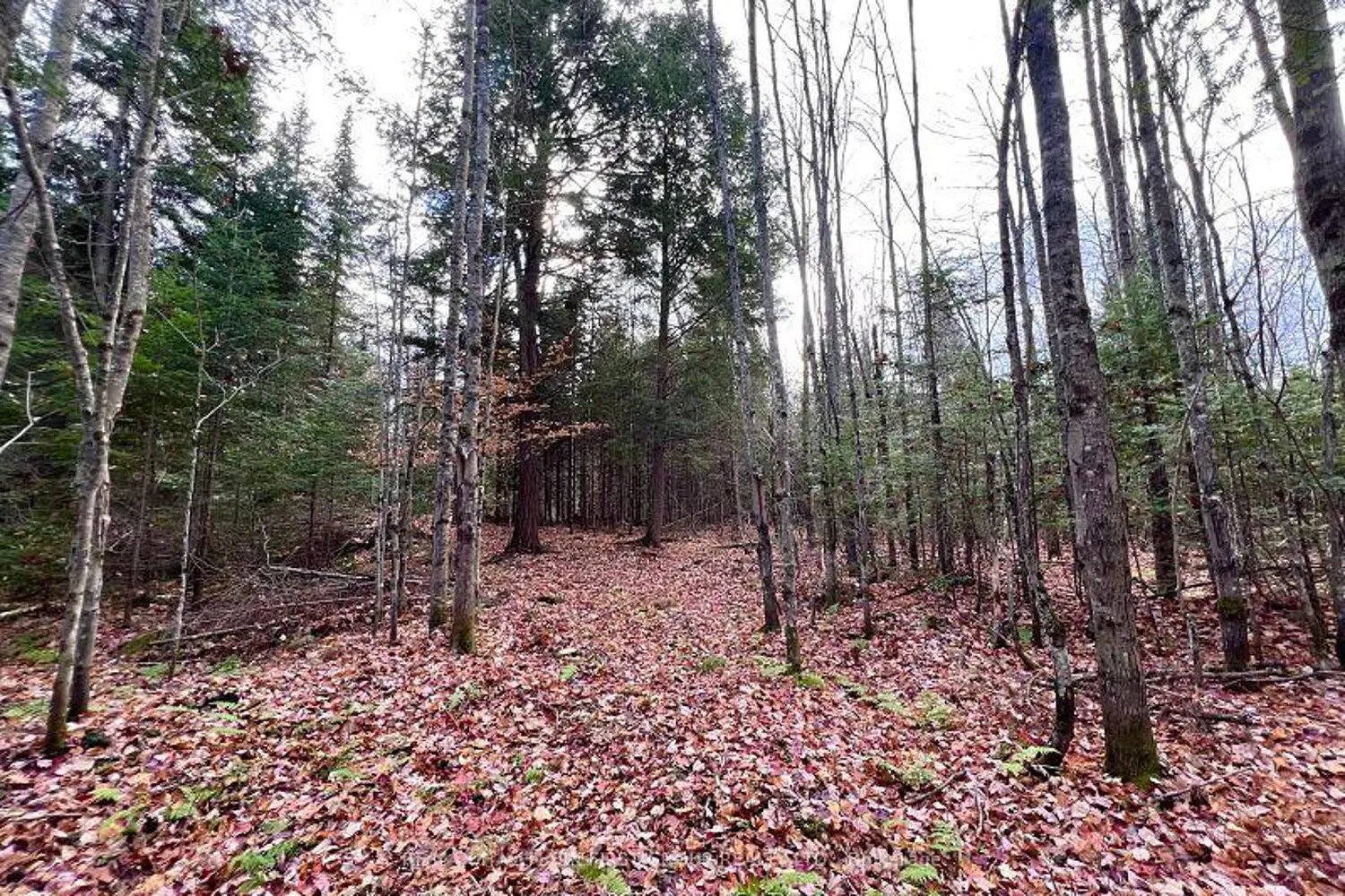 Additional image 12 of 678 Centreview Road