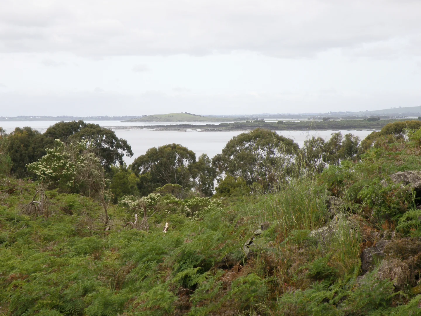 Additional image 6 of 289 Rands Road, Pomborneit North VIC 3260