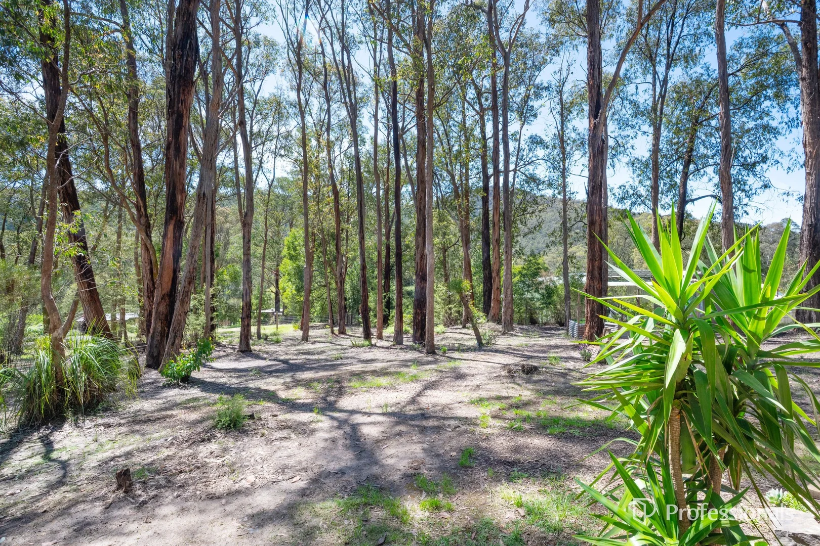 Additional image 12 of 3 Hillcrest Drive, McMahons Creek VIC 3799