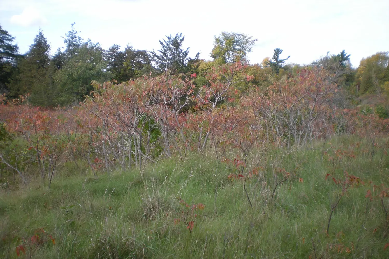County Road 10 2&3 photo 5
