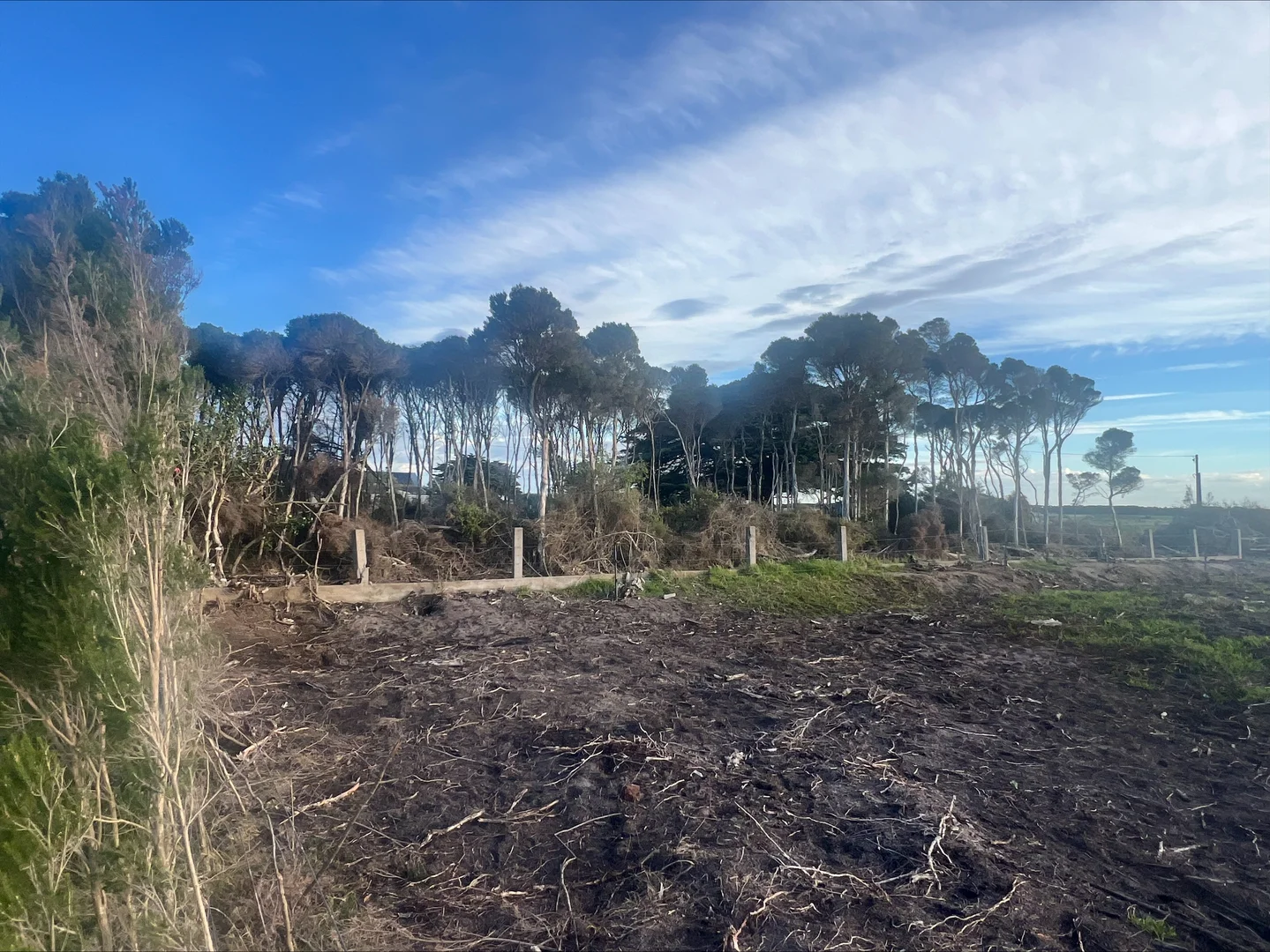 Additional image 15 of . Butter Factory Road, Whitemark TAS 7255