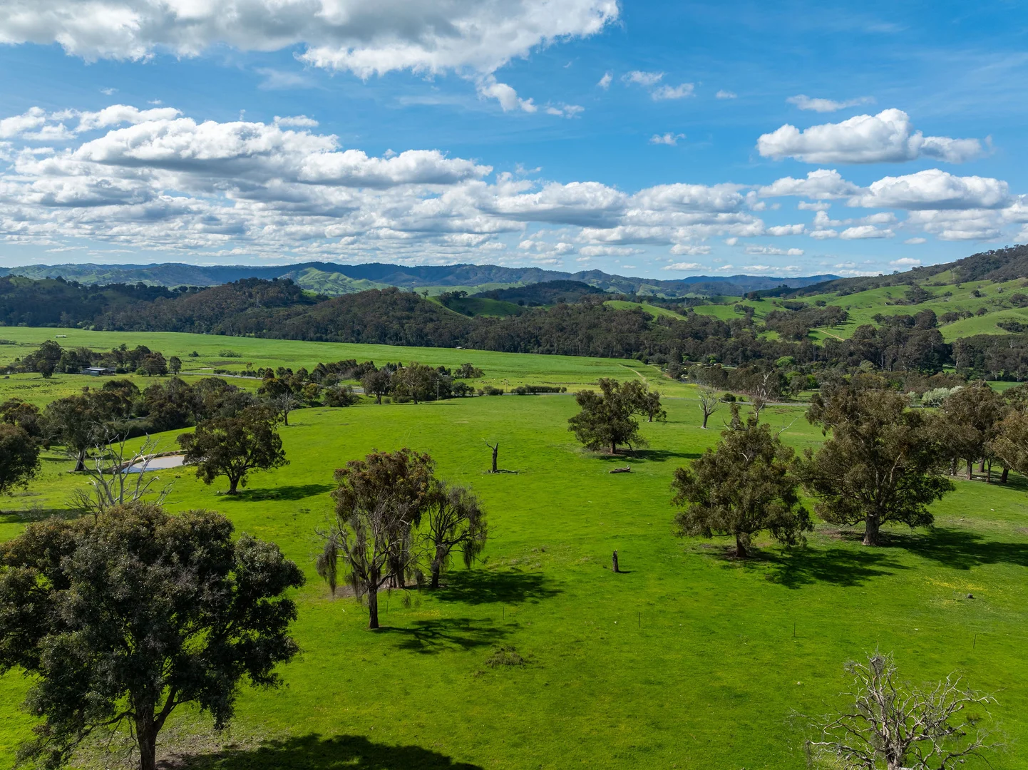 Additional image 8 of 368 Rubicon Road, Rubicon VIC 3712