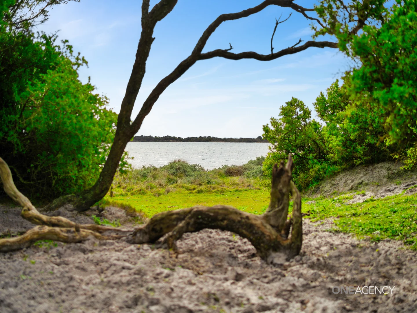 Additional image 14 of 151 Stanley Highway, Stanley TAS 7331