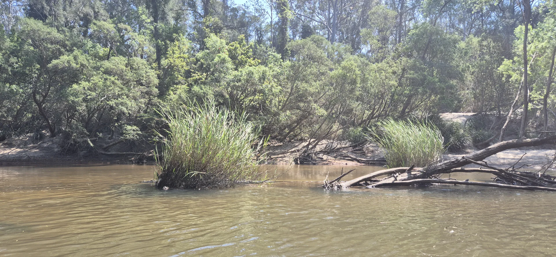 Additional image 9 of 306 Orara Road, Lanitza NSW 2460