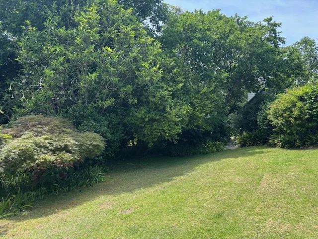 Additional image 34 of 11 Weemala Crescent, Bawley Point NSW 2539