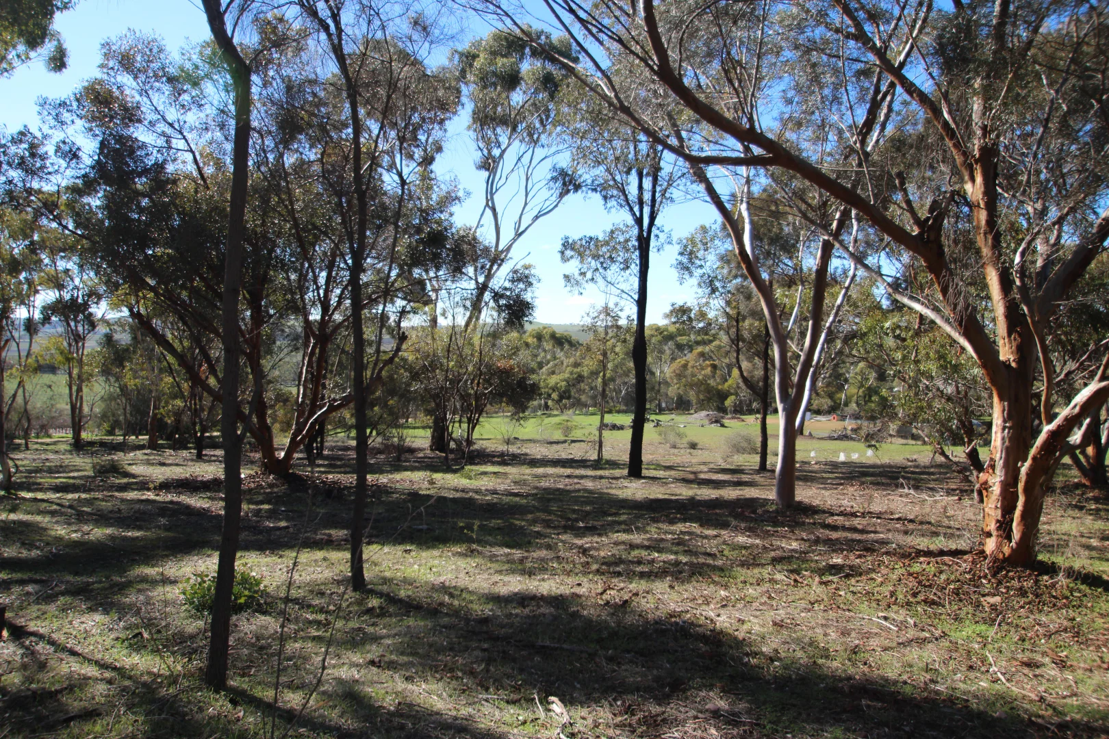 Additional image 2 of 8 West Terrace, Leasingham SA 5452