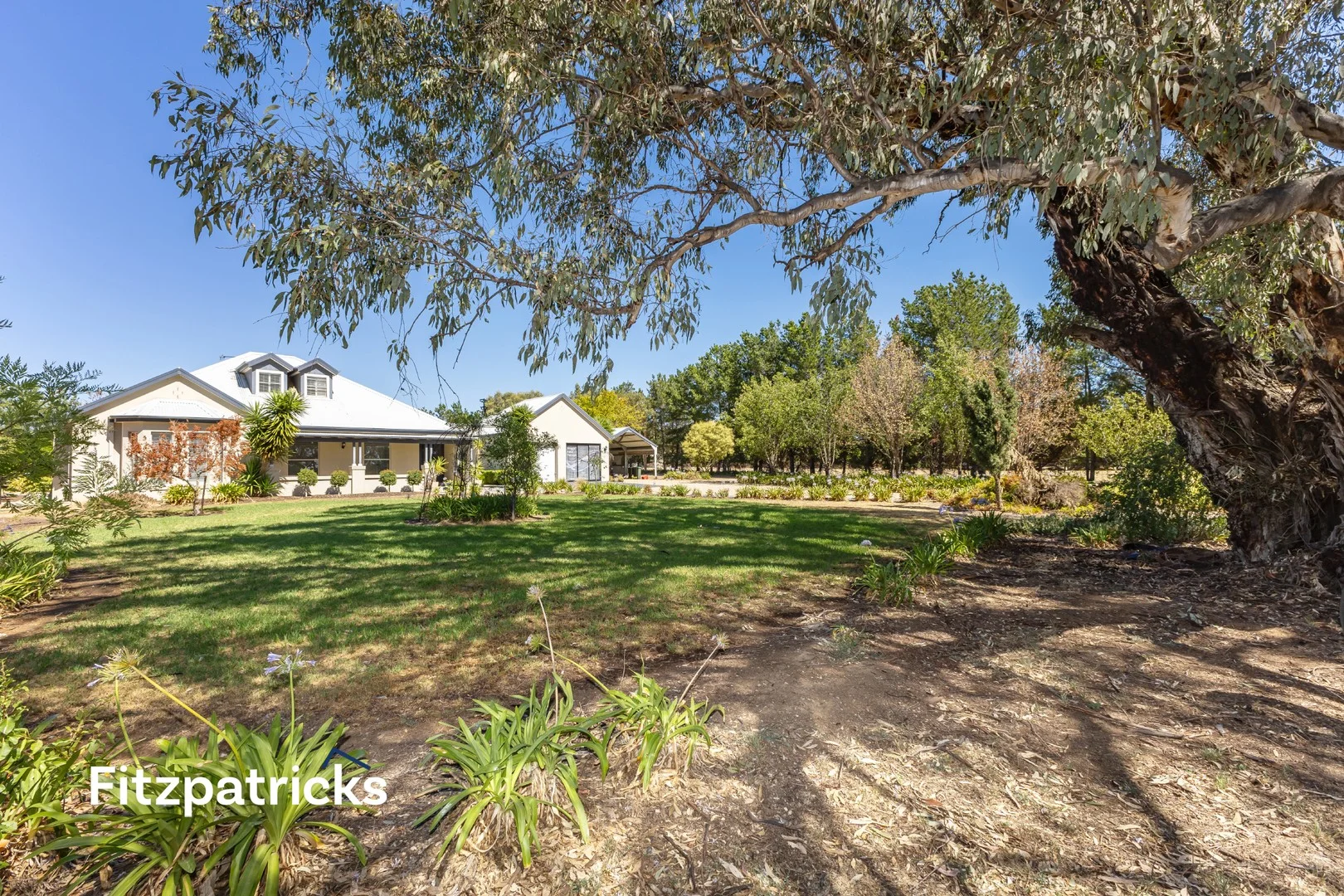 Additional image 42 of 4 Hickory Place, Springvale NSW 2650