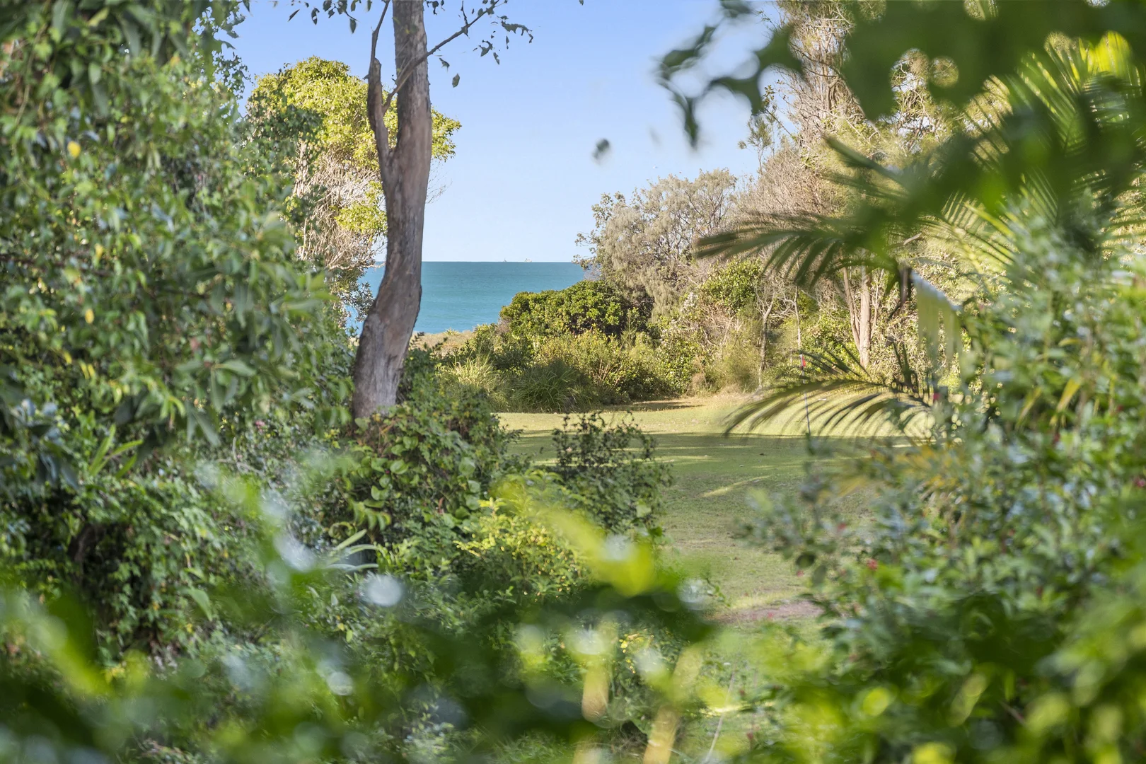 Additional image 6 of 1/10-14 Daintree Drive, Korora NSW 2450