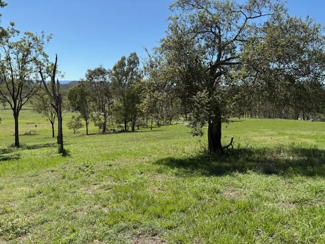 Additional image 10 of 10350 Mount Lindesay Highway, Rathdowney QLD 4287