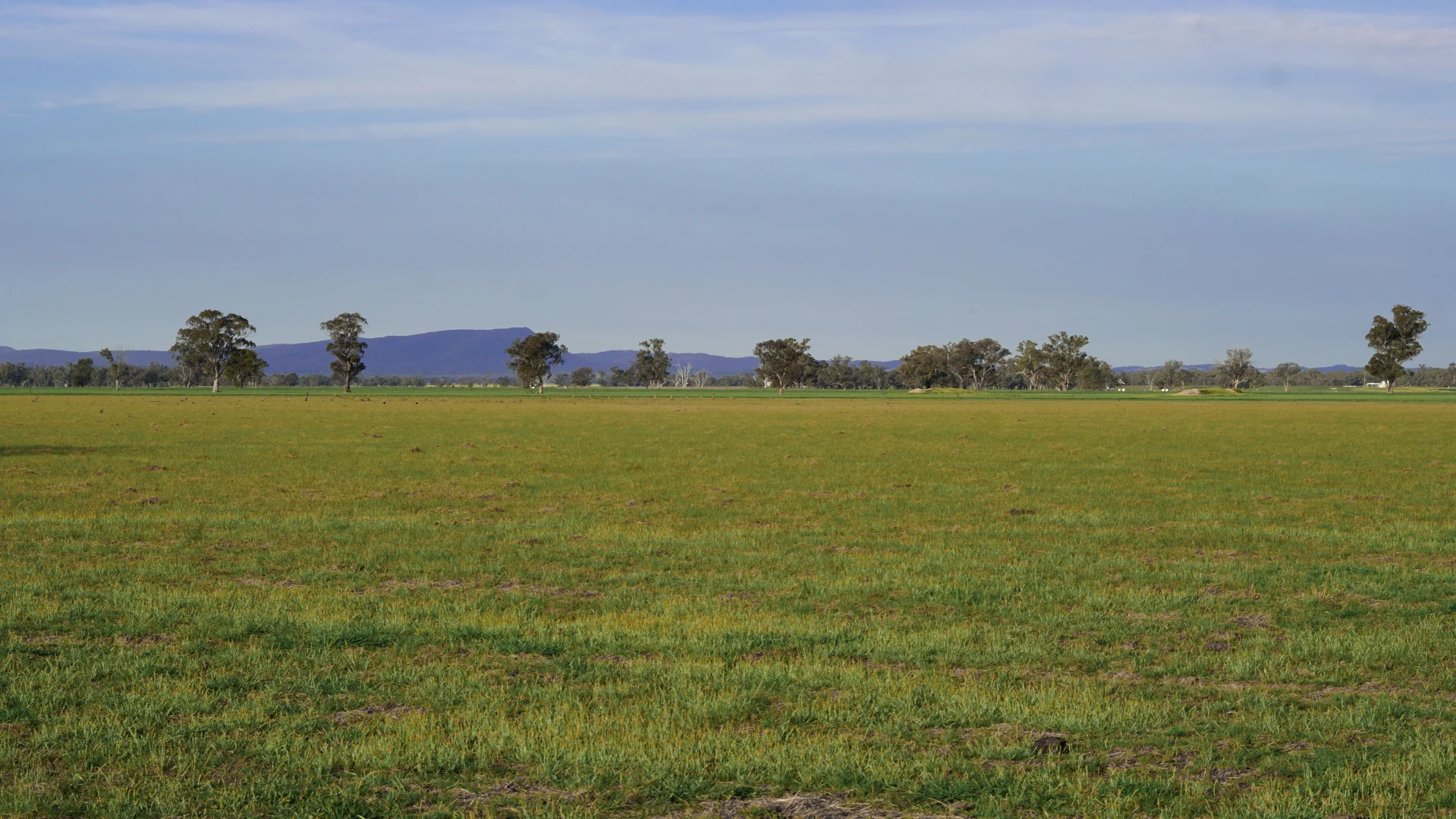 Additional image 19 of 11025 "Lima" The Escort Way, Forbes NSW 2871