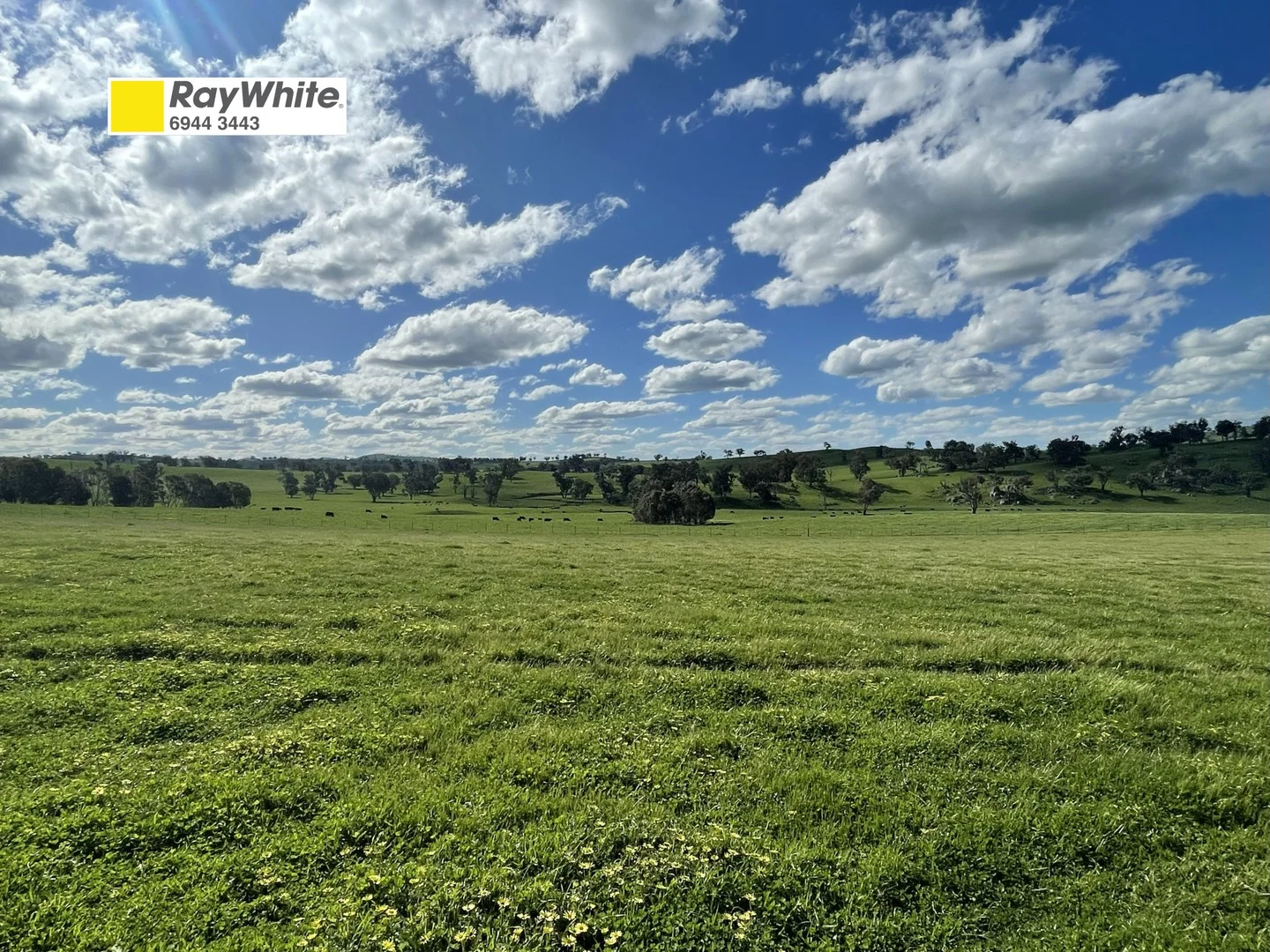 Lot Lot 4-5/3 Cooney's Creek Road, Jugiong NSW 2726