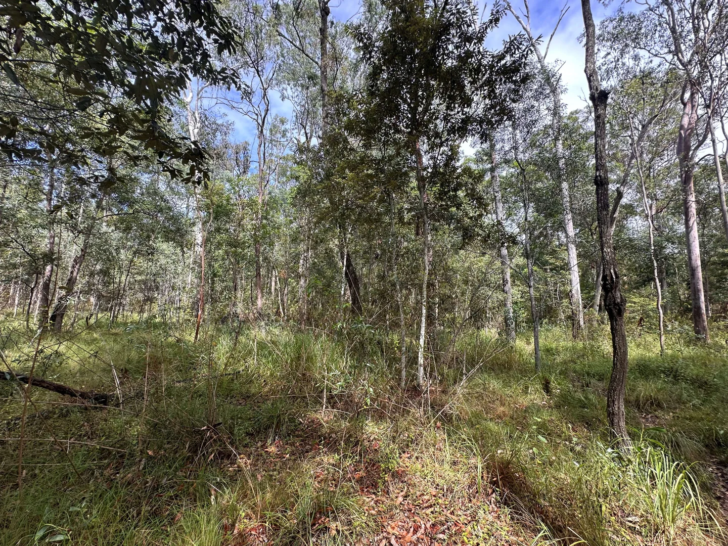 Additional image 4 of Lot 753 Arbortwenty eight, Glenwood QLD 4570
