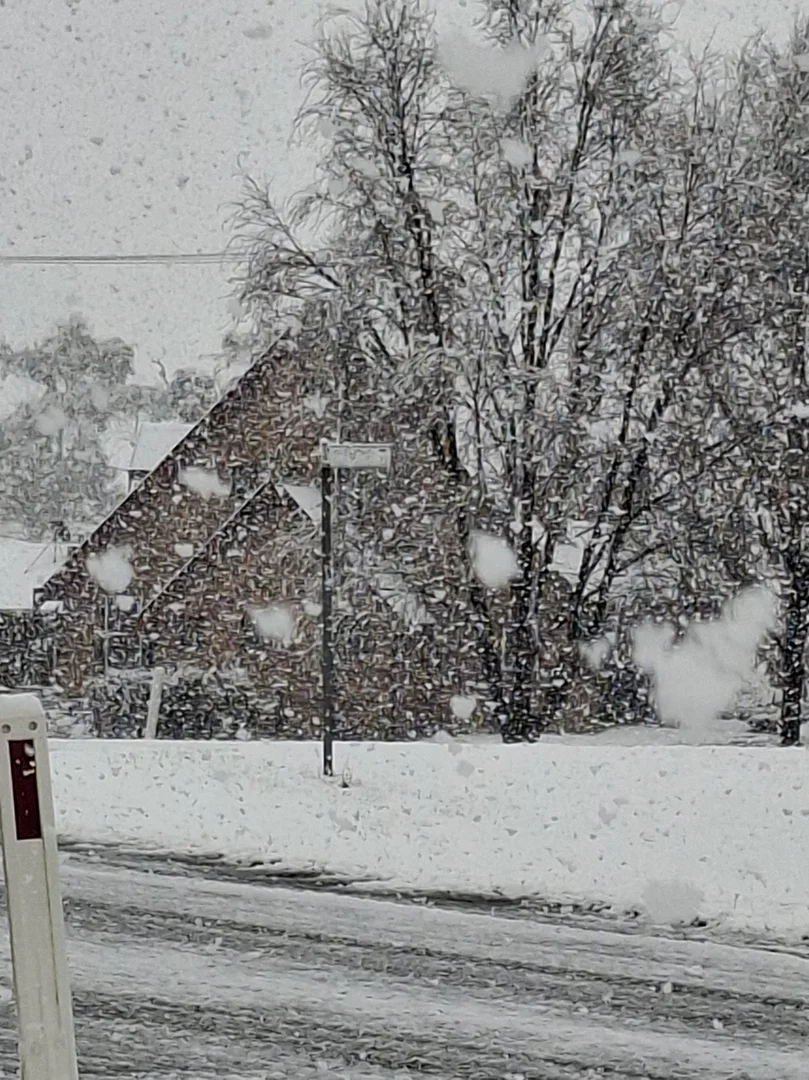 Additional image 26 of 1254 Nant Park Road, Deepwater NSW 2371