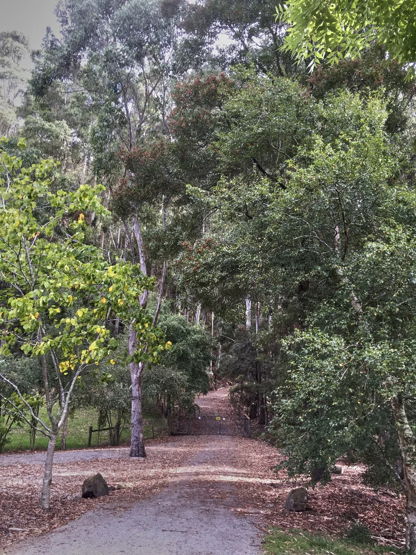 Additional image 35 of 130 Raymond Road, Gunns Plains TAS 7315