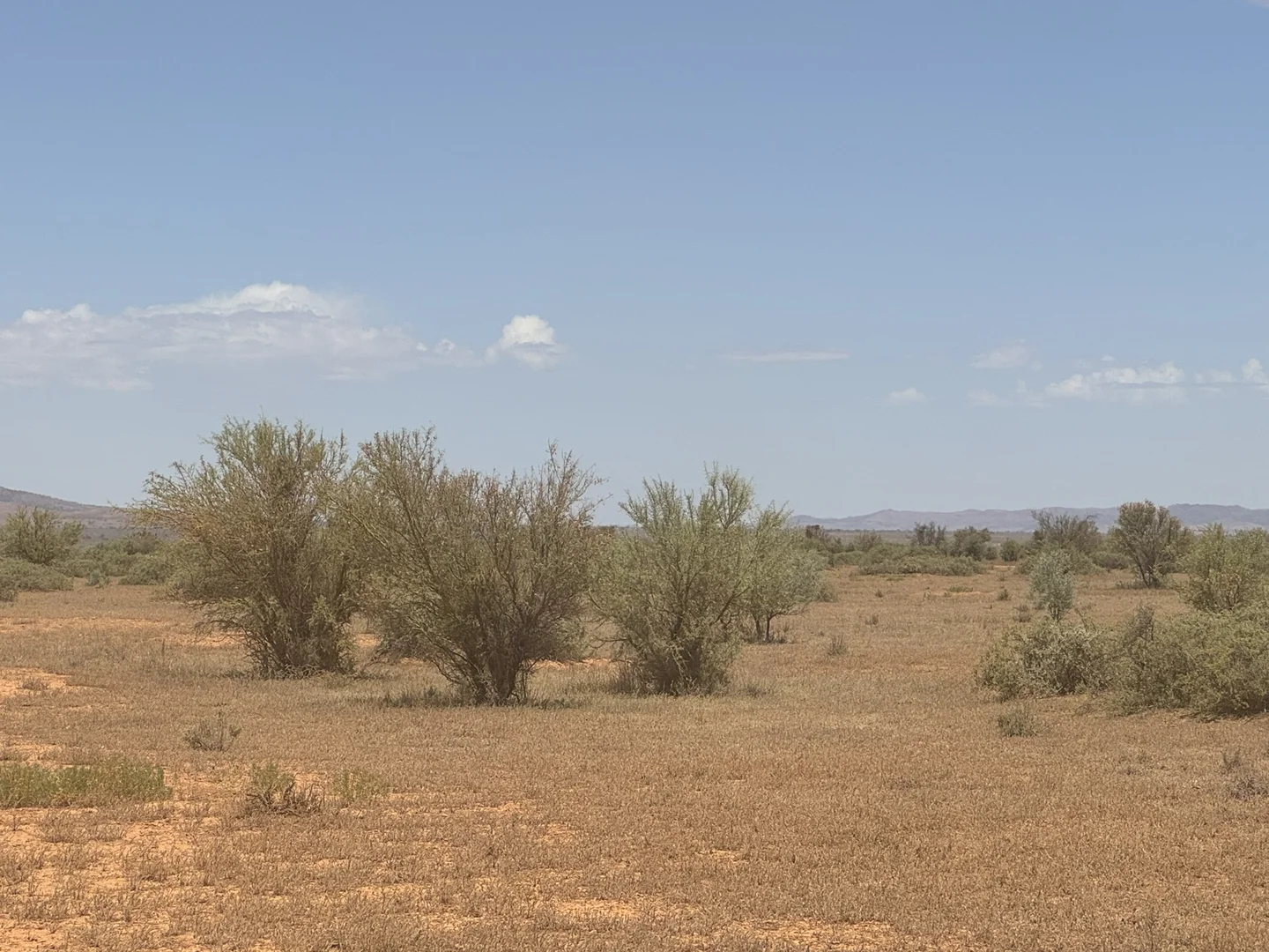 Additional image 14 of Minburra/Lynch Road, Minburra SA 5431