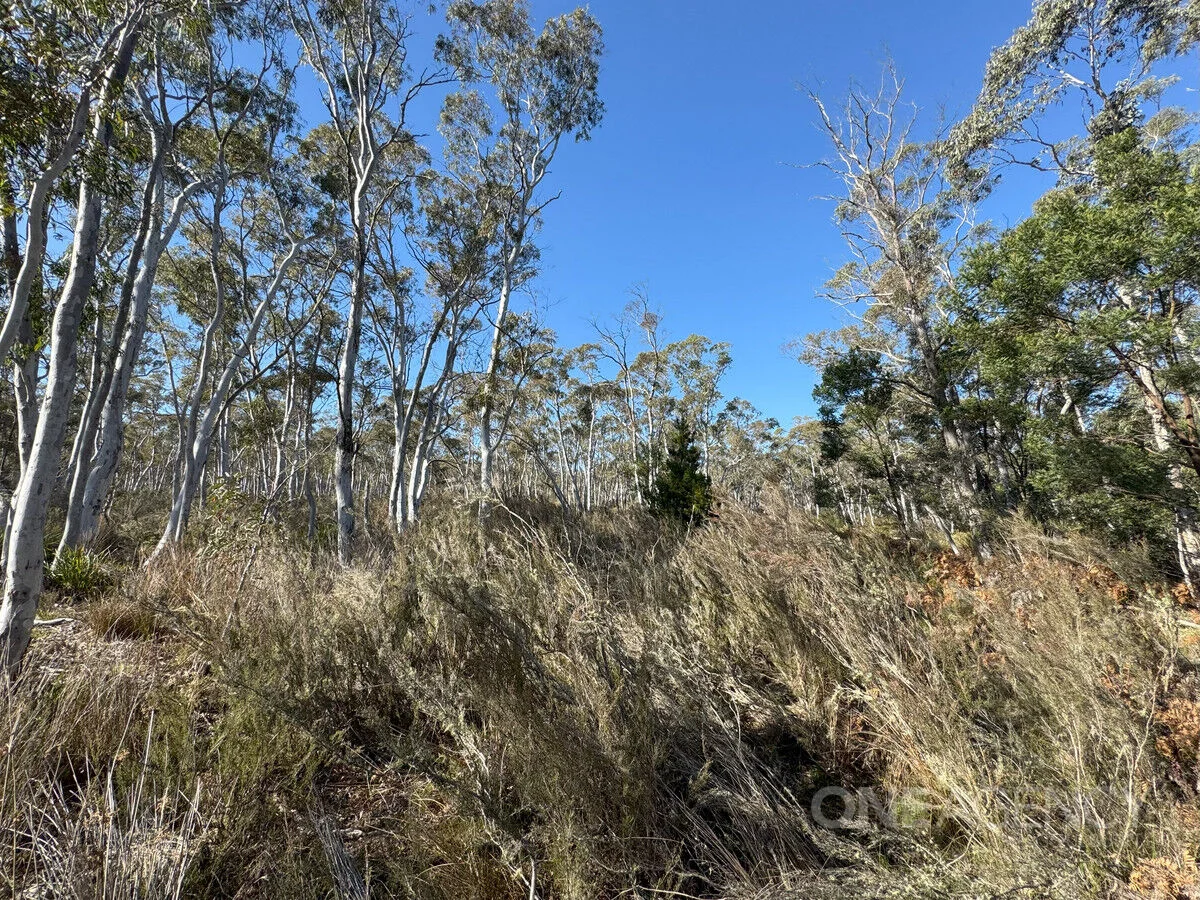 Additional image 11 of 1588 Oallen Ford Road, Oallen NSW 2622