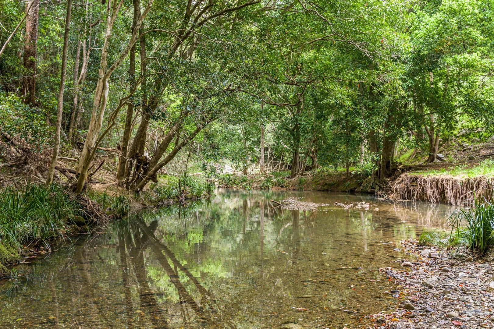 Additional image 22 of 483 Urliup Road, Urliup NSW 2484