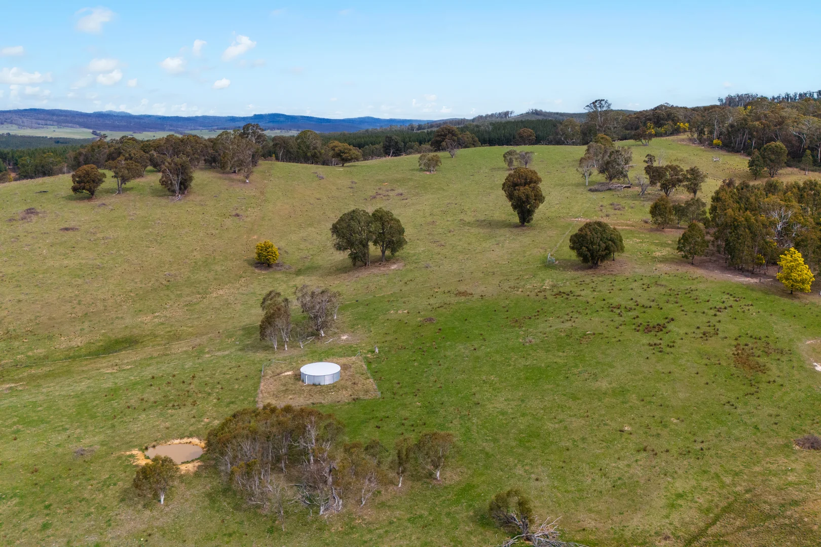 Additional image 16 of 171 Big Flat Road, Bombala NSW 2632