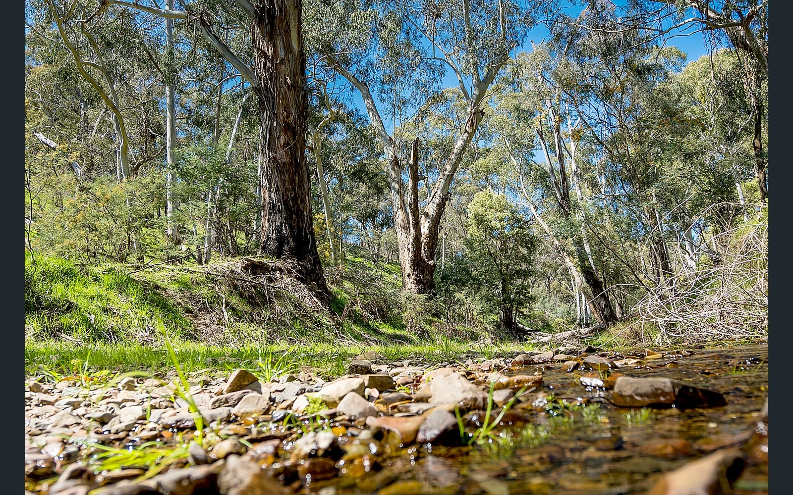 Additional image 8 of 21 Doyle Street, Reedy Creek VIC 3658