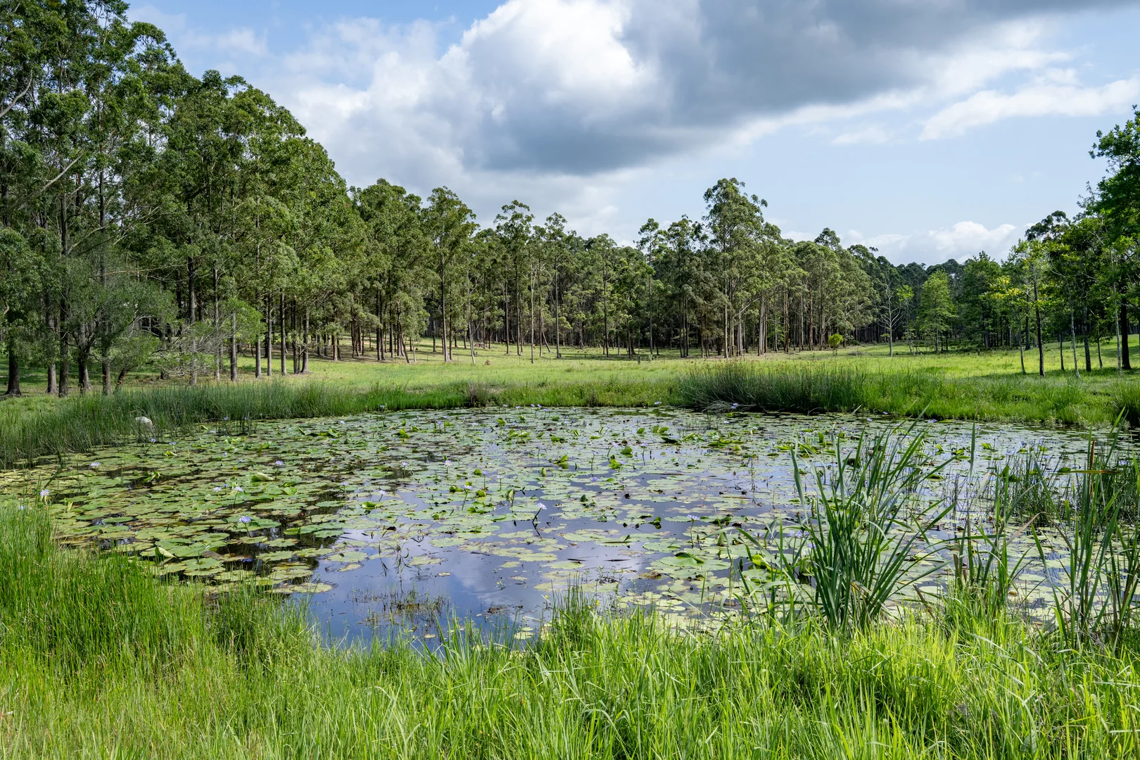 Additional image 6 of 239 Parsons Road, Coondoo QLD 4570