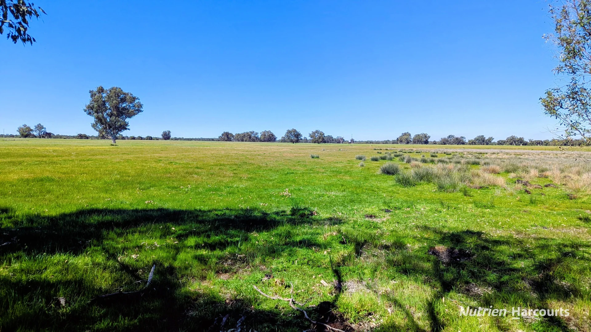 Additional image 6 of Lot 51 Millbank Road, Cowalla WA 6503