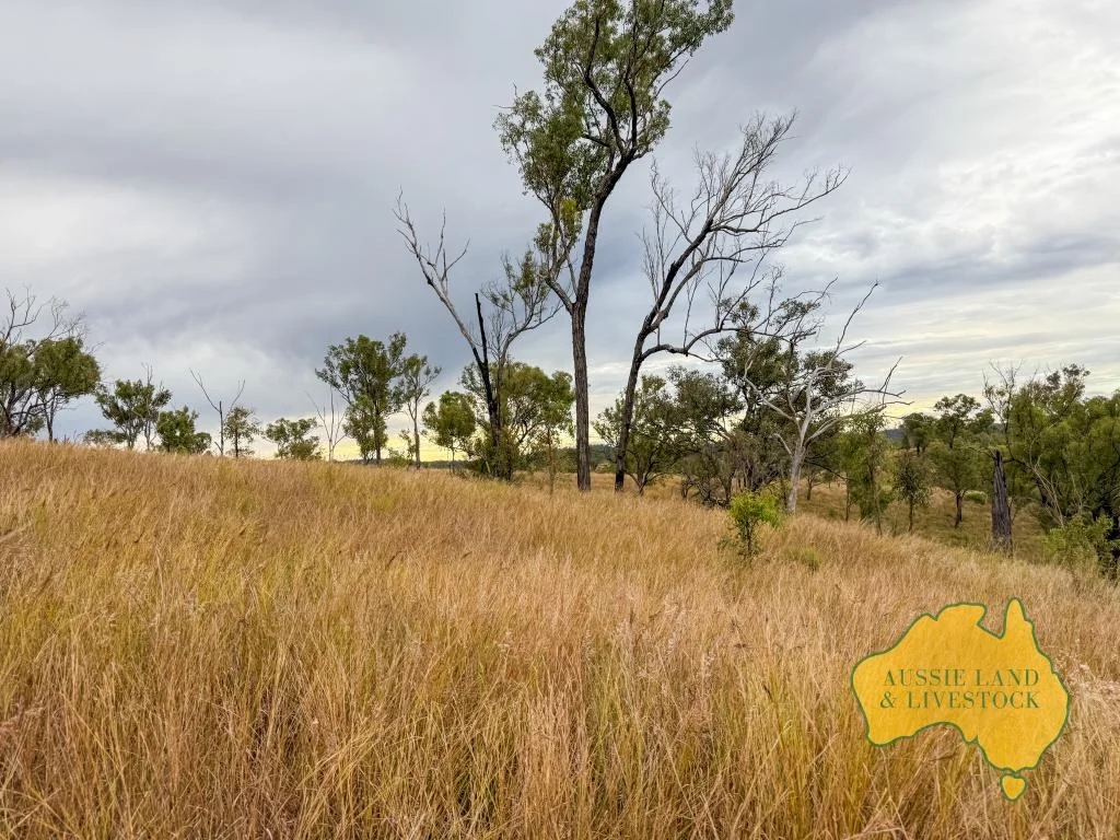 Additional image 3 of "Chapmans", Lot 14 Monto Mount Perry Road, Mungy QLD 4671