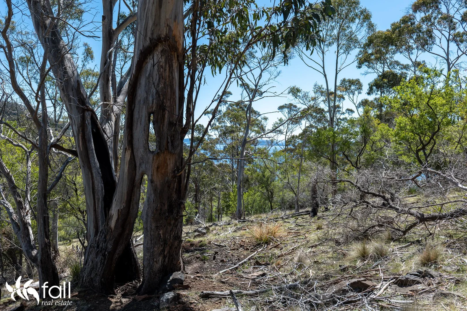 Additional image 15 of 402 Bruny Island Main Road, North Bruny TAS 7150