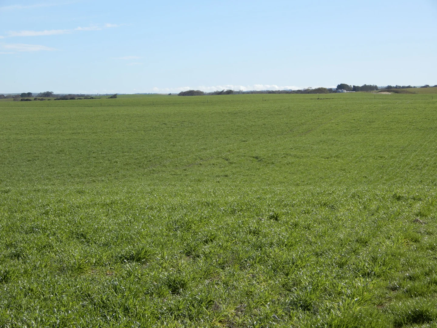 Additional image 21 of 252 Jabez Williams Road, Meningie SA 5264