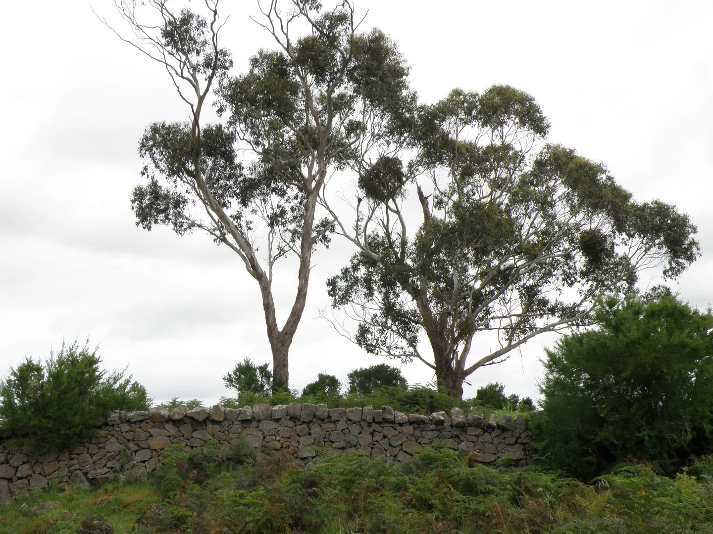 Additional image 11 of 289 Rands Road, Pomborneit North VIC 3260