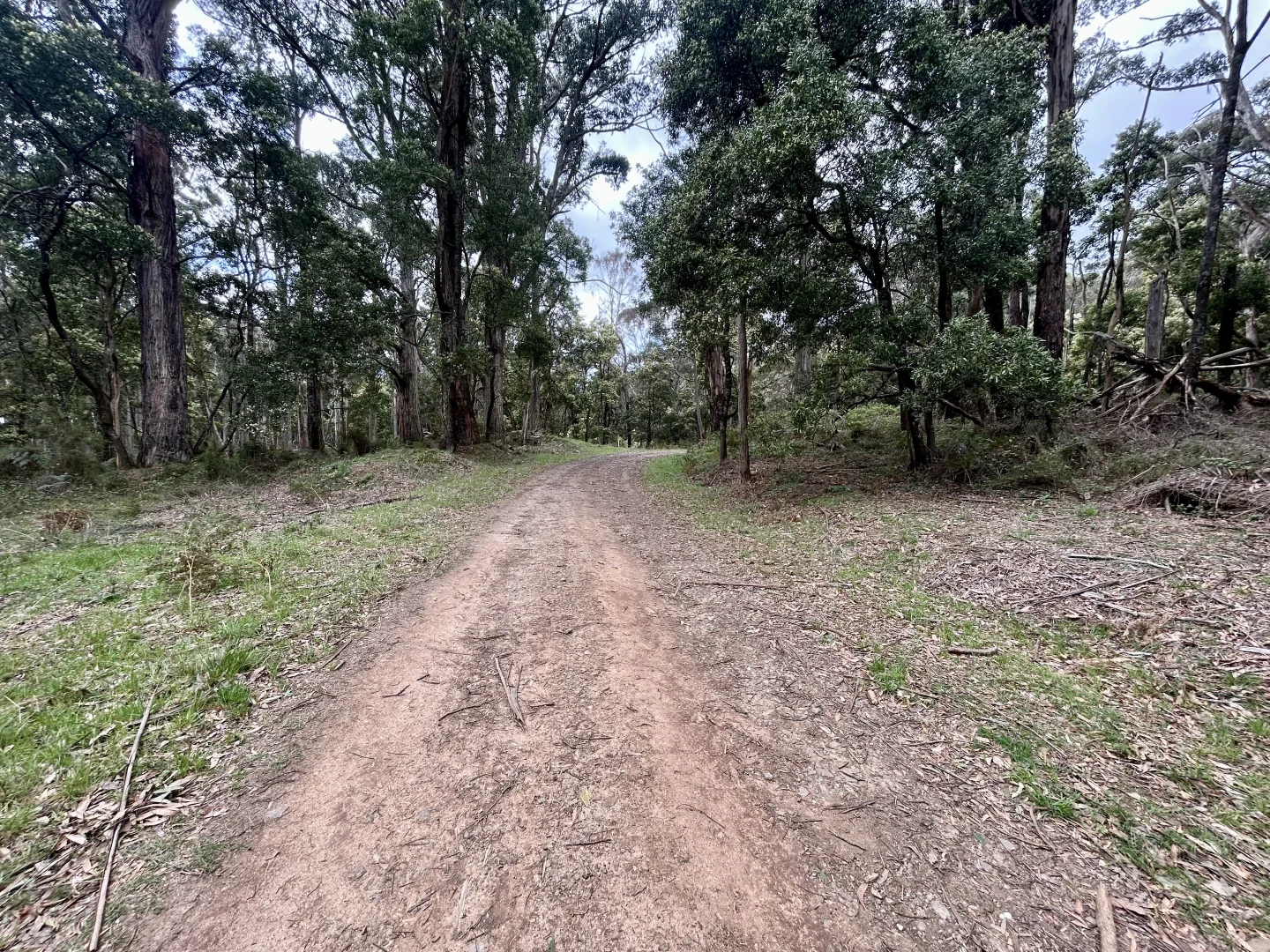 Additional image 14 of 975 Daylesford-Trentham Road, Bullarto VIC 3461