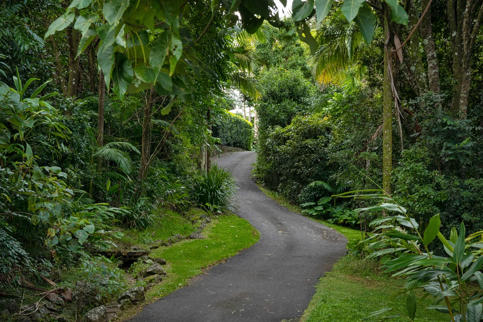 Additional image 16 of 59 Coopers Shoot Road, Coopers Shoot NSW 2479