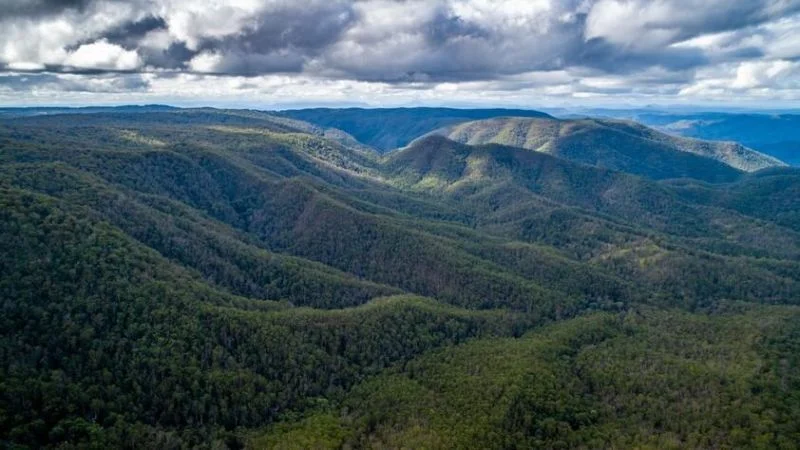 Additional image 33 of 224 Wallaroo Range Road, Willsons Downfall NSW 2372