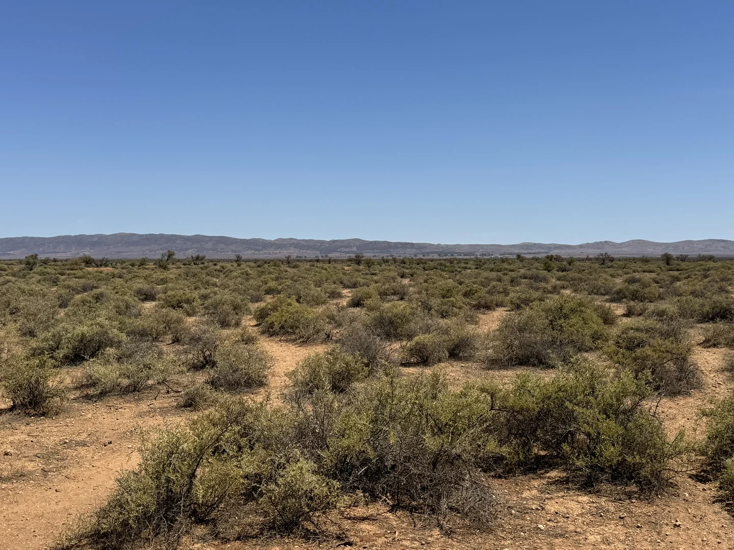 Additional image 9 of Minburra/Lynch Road, Minburra SA 5431