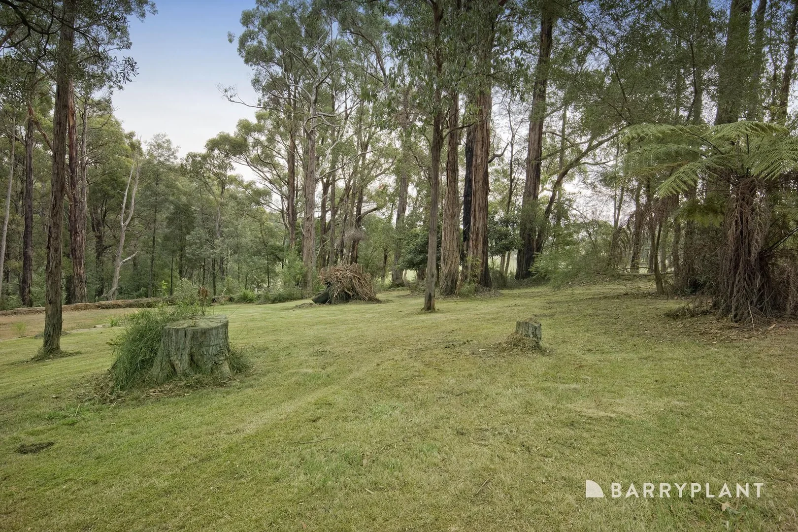 Additional image 27 of 212 Gembrook Road, Gembrook VIC 3783