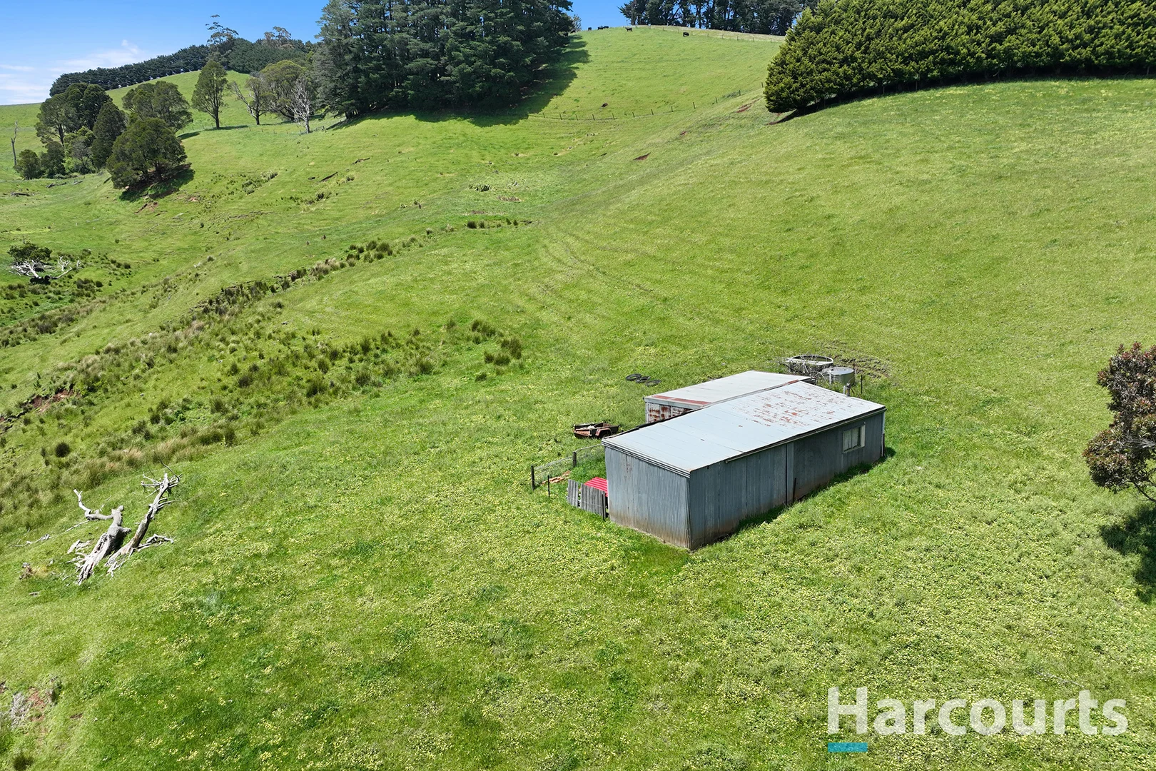 Additional image 10 of 1246 Trafalgar Thorpdale Road, Trafalgar South VIC 3824