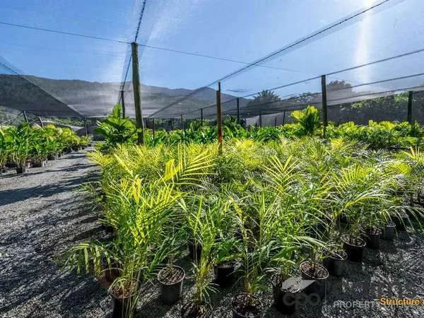 Additional image 22 of 15 Ross Road, Deeral QLD 4871