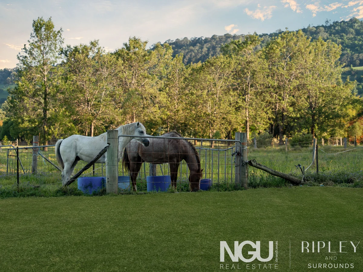 Additional image 35 of 81 Linum Road, Wivenhoe Pocket QLD 4306